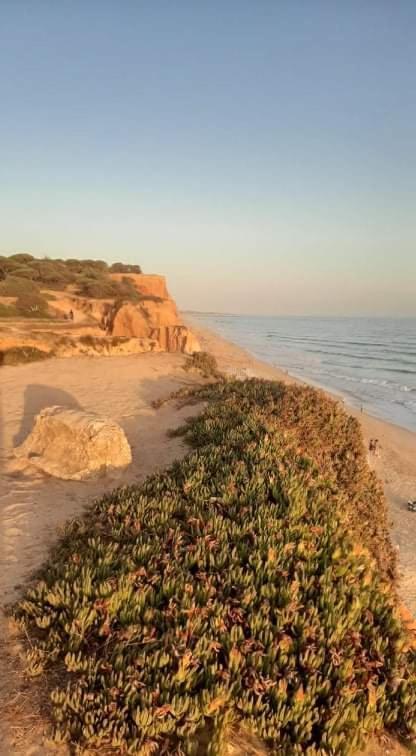 Вілла Alfamar V3 Falesia Beach Албуфейра Екстер'єр фото